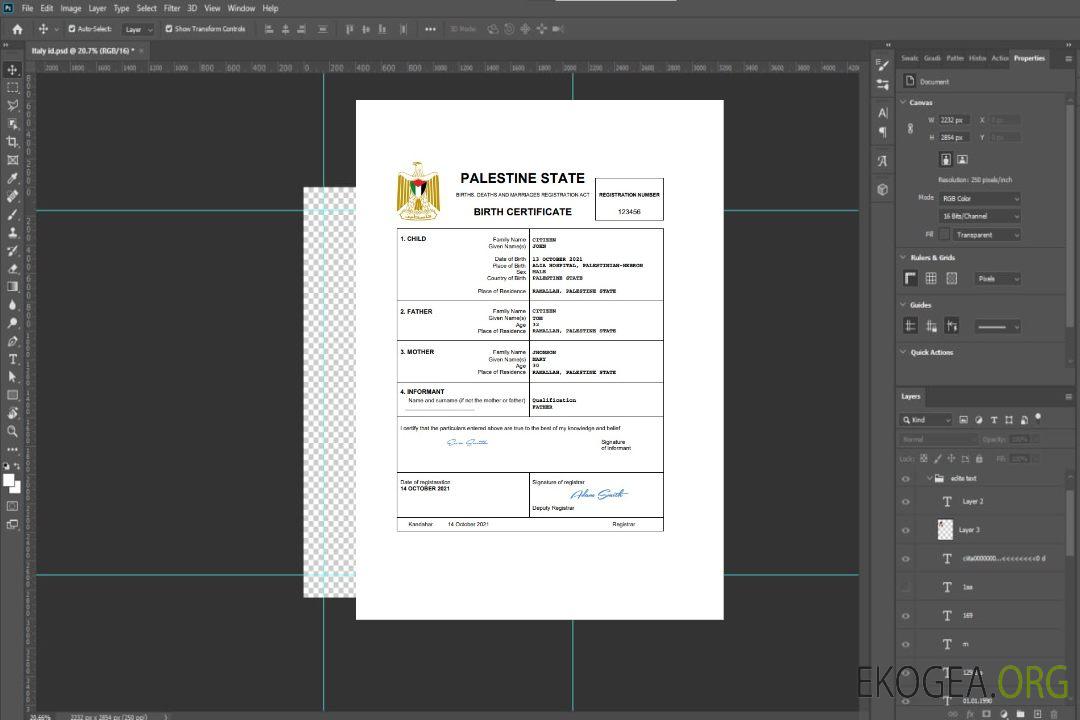 Modèle Word et PDF d'acte de naissance d'acte d'état civil en Palestine template Modèle Word et PDF d'acte de naissance d'acte d'état civil en Palestine template